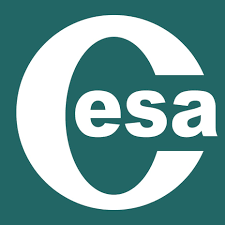 Academia CESA - Academias de Inglés en Alicante