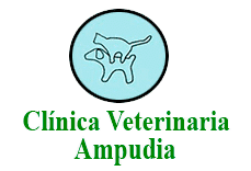 Clínicas Veterinarias en Santander - Ampudia