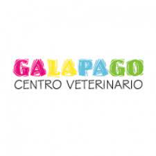 Hospital Veterinario Galápago 