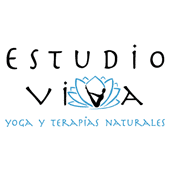 Estudio Viva Centros de Yoga en Toledo