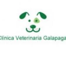 Clínicas Veterinarias en Torrelodones - Galapagar 