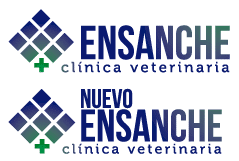 Clínicas Veterinarias en Bilbao - Ensanche