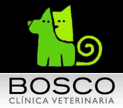 Clínicas Veterinarias en Pamplona - Bosco 