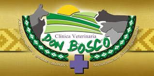 Clínicas Veterinarias en Granada - Don Bosco 