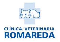 Clínicas Veterinarias en Zaragoza - Romareda 
