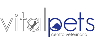 Clínicas Veterinarias en Huelva - Vital Pets 