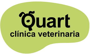 Quart Clínica Veterinaria 