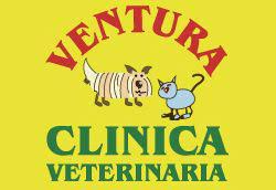 Clínicas Veterinarias en Ciudad Real - Ventura