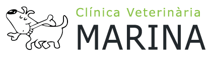 Clínicas Veterinarias en Barcelona - Marina