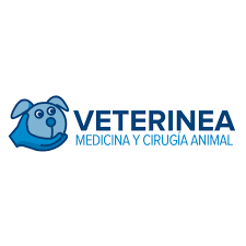 Clínicas Veterinarias en Burgos - Veterinea