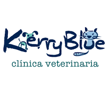 Clínicas Veterinarias en Oviedo - Kerry Blue  